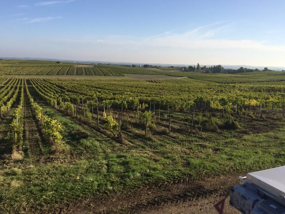 Distillerie Cognac à  Sainte-Lheurine