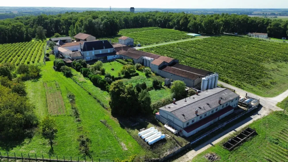 Pineau Rouge à  Sainte-Lheurine