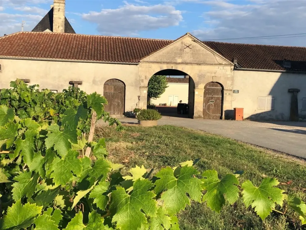 Producteur Cognac à  Sainte-Lheurine